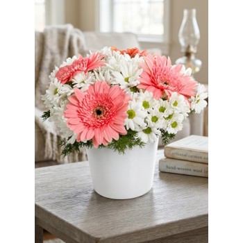 Beyaz Seramik Vazoda Pembe Gerbera ve Papatya Rüyası